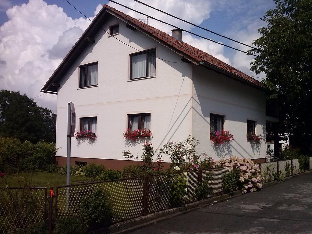 Apartman Josipa Dreznik Grad Номер фото